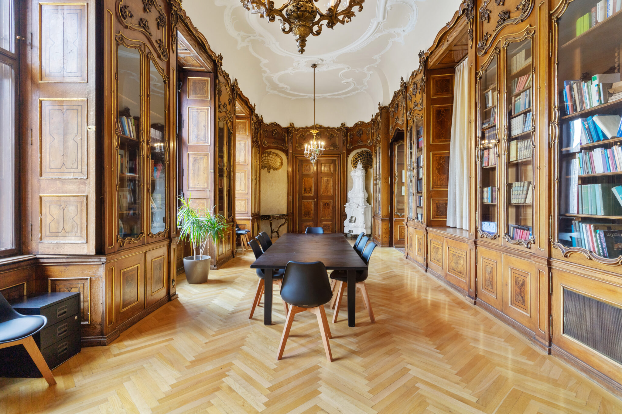 backbone_40595_027_HD