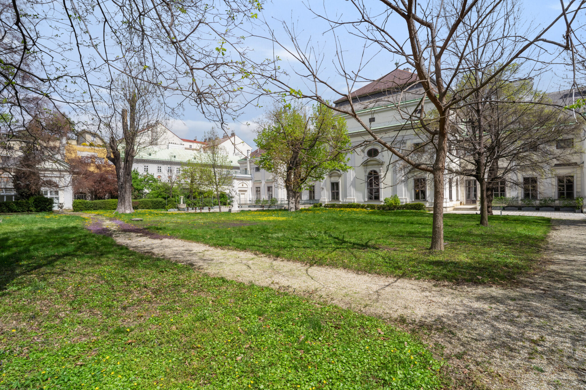 backbone_40595_096_HD